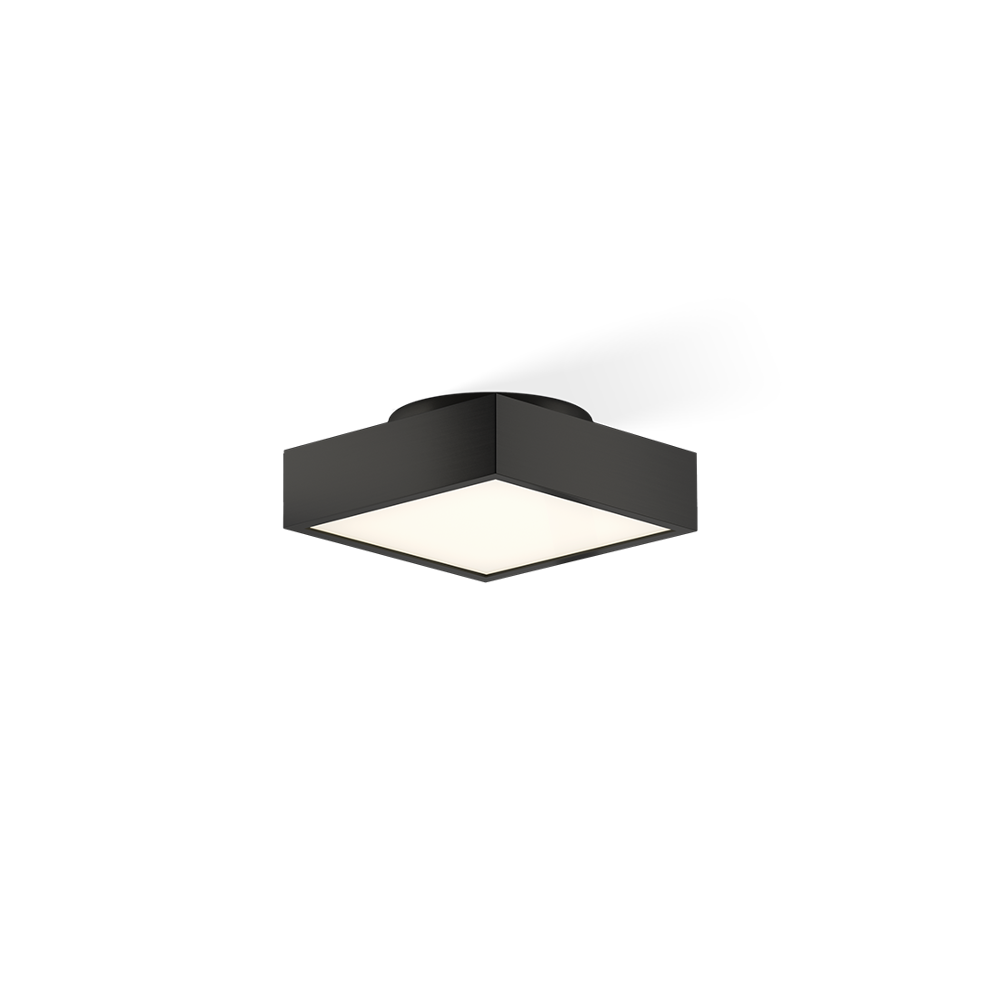 Ceiling light