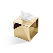 Tissue box